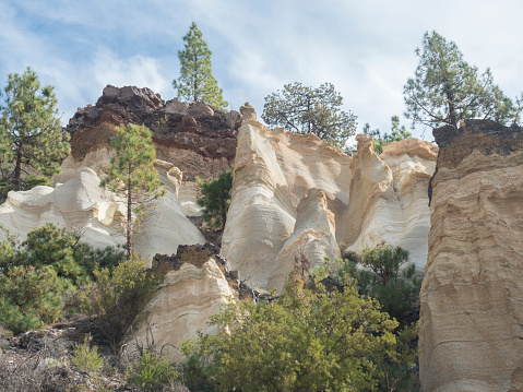 View of small rock city Paisaje Lunar, eroded rock pillars formation in Volcanic landscape with lush green pine tree forest. Tenerife Canary islands, Spain