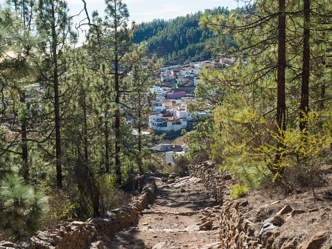 View of village Vilaflor de Chasna from dirt road at lush green pine tree forest , hiking trail to Paisaje Lunar volcanic rock formation, Tenerife Canary islands, Spain