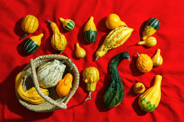 istock Pumpkins pattern, decorative diverse pumpkin, squash, patisson on red cloth background top view. Autumn, fall, halloween holiday concept. Minimal autumnal flat lay with sunlight shadows. 2143675892