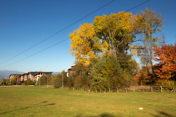 Bansko, Bulgaria autumn landscape with wooden fence, colorful trees and houses