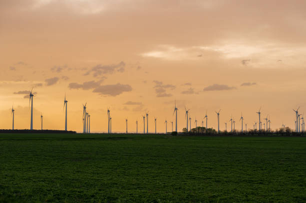 istock Wind turbines in an agricultural field at sunset 2143751497
