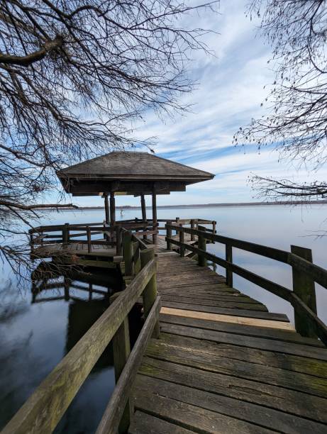 istock Reelfoot Lake 2143771173