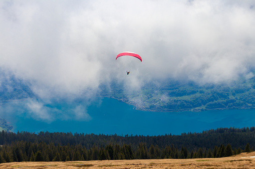 Paraglider flying from Niederhorn mountain in Swiss Alps, Switzerland. Concept of active lifestyle and extreme sport adventure