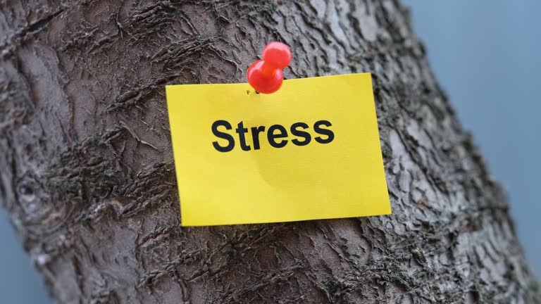 A yellow paper note with the word Stress on it pinned to a tree.