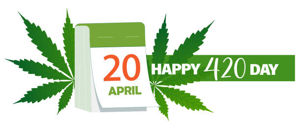 Happy 420 day, International Weed Day banner with calendar date of April 20 arranged cannabis hemp marijuana leaves. Vector illustration, good for poster, flyer invitation or greeting card vector art illustration