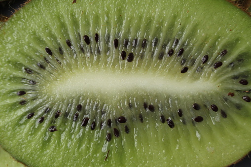 Kiwi is a crappy plan background of food. green food. Vitamin c actinidia seasonal fruits.