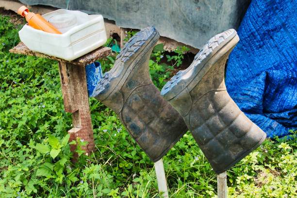 Yellow rainboots in a garden on a wet, rainy day