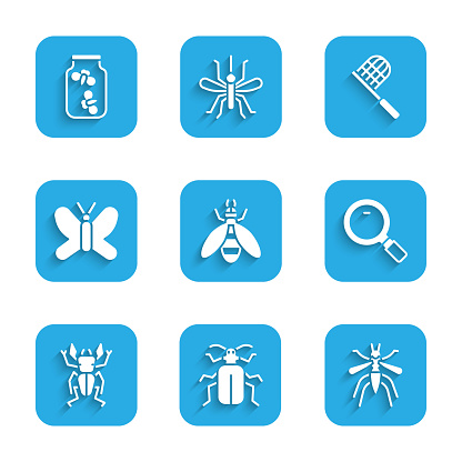 Set Bee Chafer beetle Mosquito Magnifying glass Beetle deer Butterfly net and Fireflies bugs jar icon. Vector.
