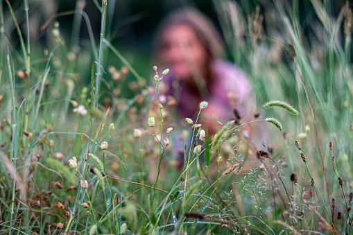 nature, flowers, grass, girl, forest, girl is hiding