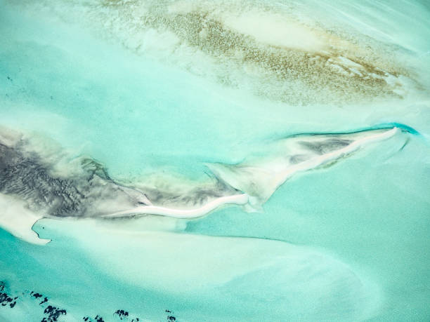 istock Sand and water ripples from above 2144175783