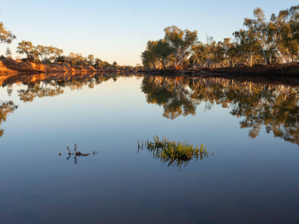 Morning stillness on river Sunrise on the Murchison River, Wooleen Station remote Western Australia scribbly gum stock pictures, royalty-free photos & images