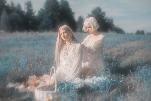 Couple of young women in the meadow. Blonde hair. Fairy. Renaissance dress