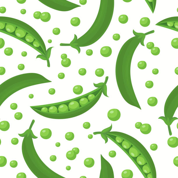 vector seamless pattern with flat green pea pod. cartoon green peas design template for textile, wallpaper, culinary packaging - pod geometric shape pattern seamless stock illustrations