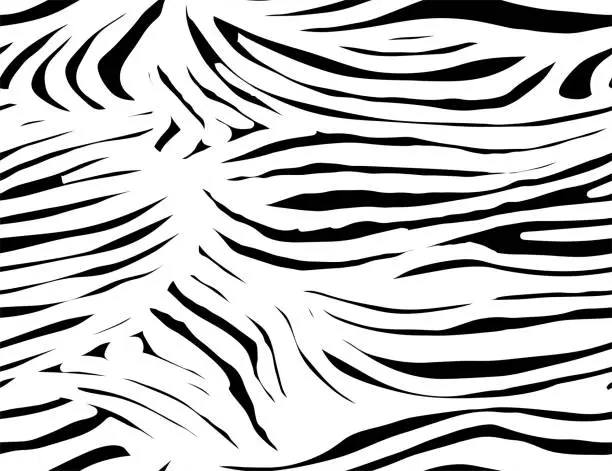 Vector illustration of Seamless Zebra Tiger Pattern Textile Texture. Black and White Animal Skin