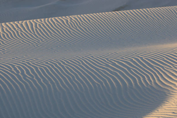 ripples on dunes, Cape Point, South Africa
