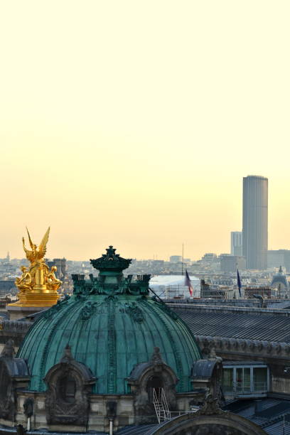 We can see the roofs of Paris. The top of the Opera Garnier on the foreground and the Montparnasse tower on the background. Sunset vibes.