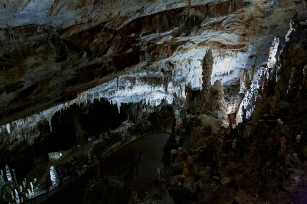 istock Postojna Cave, Slovenia 2144451866