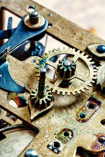 intimate glimpse into the watch's heart reveals the complex dance of its inner gears