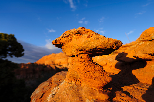 Red Rock Hoodoo Formation - Selective focus on foreground with blurred background of orange-red rock formation in the desert southwest of the USA.