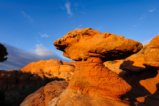 Red Rock Hoodoo Formation - Selective focus on foreground with blurred background of orange-red rock formation in the desert southwest of the USA.
