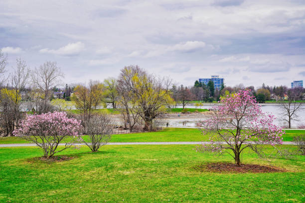 istock Scenic spring vista of Dows Lake 2144742164
