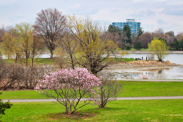 Dominion Arboretum of Ottawa at sunset in Spring