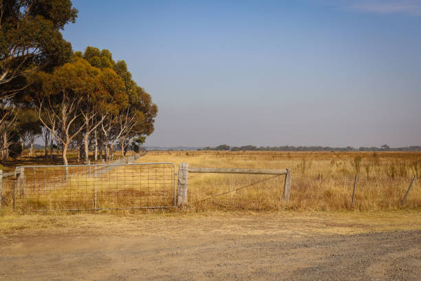View of the outback in Australia in the sun.