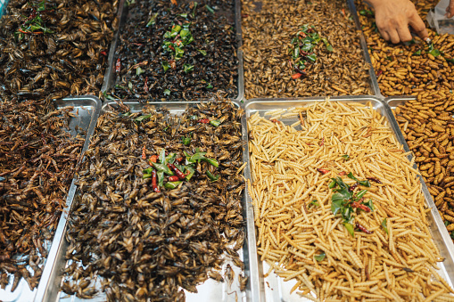 Variety Asian exotic foods fried insets silkworms and other in Thailand asia