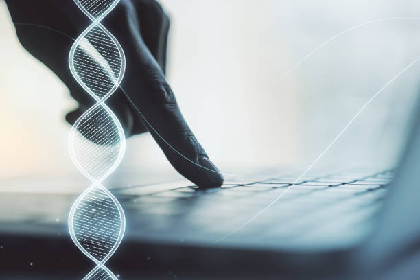 istock Creative concept with DNA symbol illustration and hands typing on laptop on background. Genome research concept. Multiexposure 2145113649