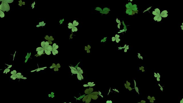 A CG image of three- and four-leaf clovers dancing beautifully. Beautiful three- and four-leaf clovers dance symbolically and magically against a black background.