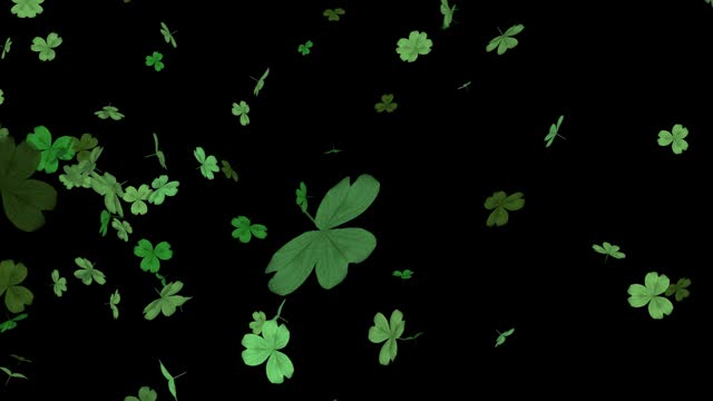 A CG image of three- and four-leaf clovers dancing beautifully. Beautiful three- and four-leaf clovers dance symbolically and magically against a black background.