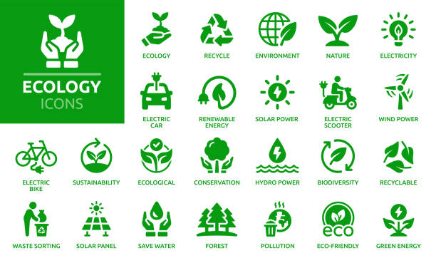 illustrazioni stock, clip art, cartoni animati e icone di tendenza di set di icone di ecologia, collezione vettoriale di icone solide. - green