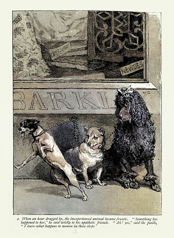 Vintage illustration, dogs tied up outside shop, Victorian History Pets, 1890s 19th Century