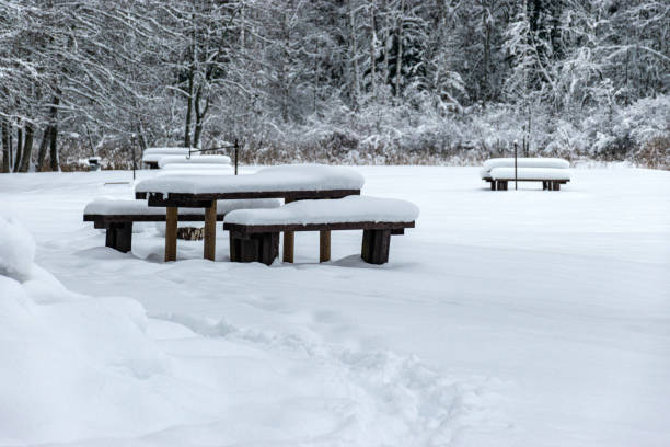 istock trees and tree branches covered with thick snow, winter day, beach covered with snow 2145283090