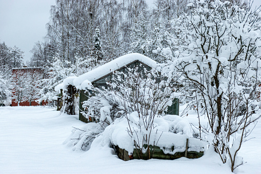 garden in winter, covered with snow, fruit trees, garden house and garden accessories, small garden in winter