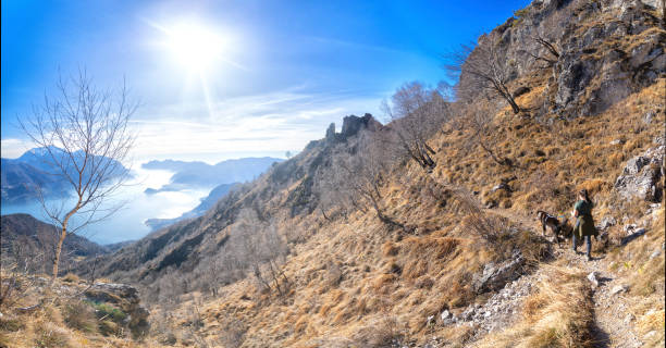 Full length, rear view of young woman walking with a her sweety dog on leash at the park with beautiful sunshine. Living with pets. Lake of Como, Menaggio, Italy.