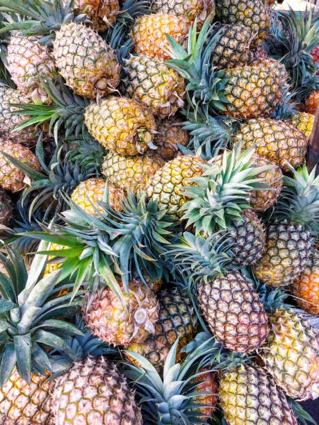 istock Image of a Pile On Pineapples, Indonesian pineapples background 2145298863