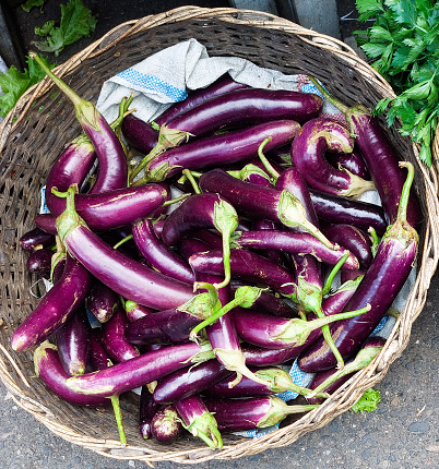 Organic Eggplants in a Basket, a cluster of eggplants for sale in a market in Padangsidimpuan, North Sumatera, Indonesia