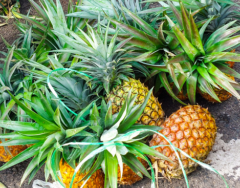 Image of a Pile On Pineapples, Indonesian pineapples background
