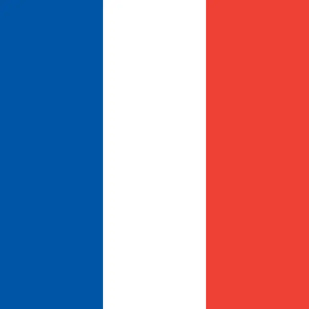 Vector illustration of Square vector flag of France