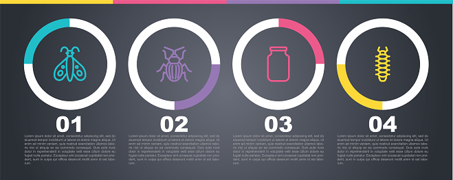 Set line Butterfly, Chafer beetle, Glass jar and Centipede. Business infographic template. Vector.
