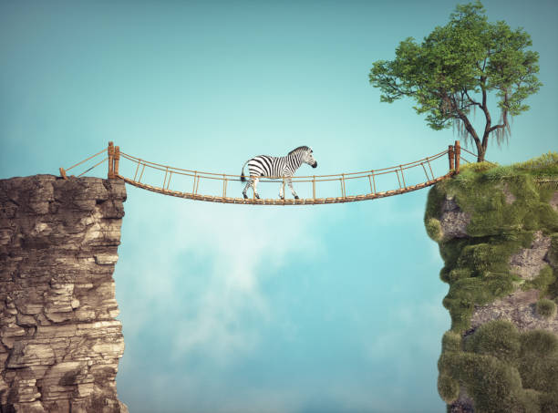 istock The zebra walks on a bridge between two rocks. Risk taking and destination concept 2145335588