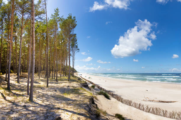 Holidays in Poland - Baltic seashore near Leba, small tourists resort in west pomorskie province
