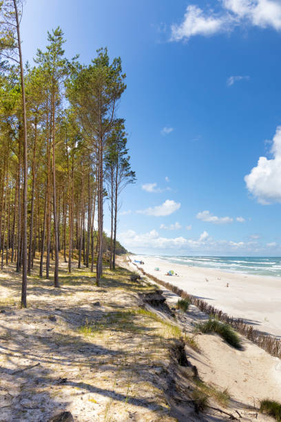 istock Holidays in Poland - Baltic seashore in Rewal 2145349324