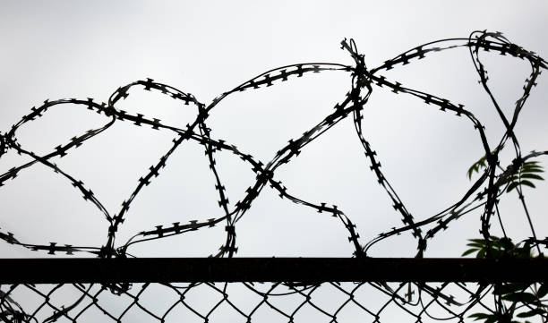 istock Barbed wire against the gray sky. 2145360982