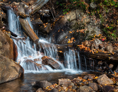 Fallen autumn leaves around a small waterfall in the forest. Mont Tremblant, Quebec, Canada.