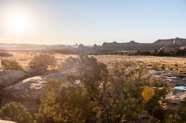 Sunrise at the Needles District Campground. Canyonlands National Park, Utah