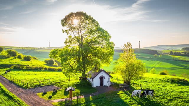 Rural summer landscape in Germany