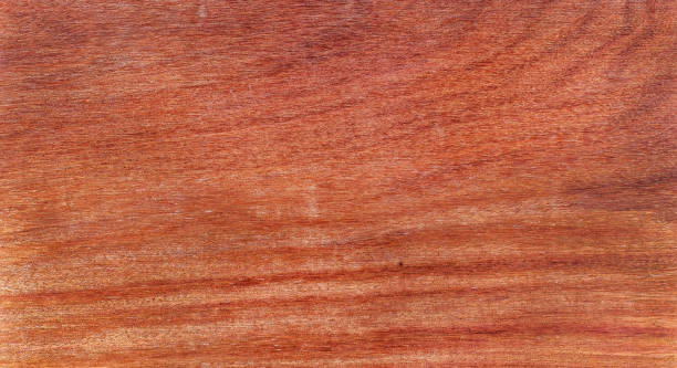 istock Beautiful wood grain. Wood background. Wood grain pattern texture backgrounds 2145649310