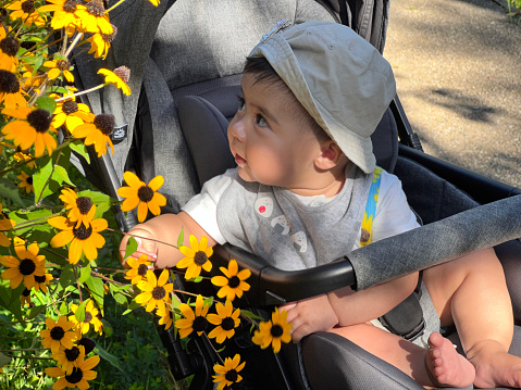 Summer vacation walk with a cute little girl watching the flowers